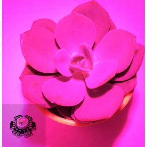 50/100pcs 3W Full Spectrum Led Grow Chip With PCB Star Led Grow Lights Broad Spectrum 400nm-840nm Led Diode For Indoor Plant