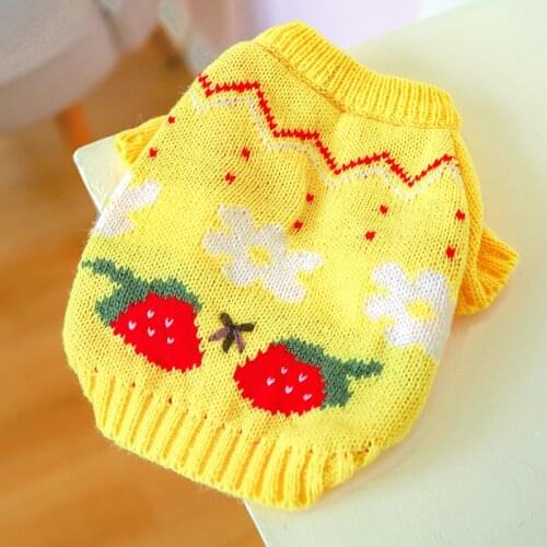 Autumn and Winter New Pet Dog Sweater Warmth Cartoon Pet Flower Strawberry Sweater Puppy Dog Cat Clothes Winter Pet Coat Clothes