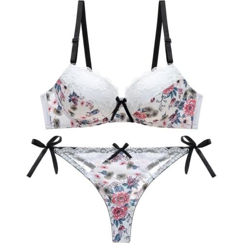 Lace Sexy Beauty Back Bra Set Comfortable Gathering Printed Underwear Set Push up Bra and Panty Set