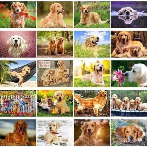 DIY Dog 5D Diamond Painting Full Round Drill Animal Diamond Embroidery Golden Retriever Cross Stitch Wall Art Home Decor