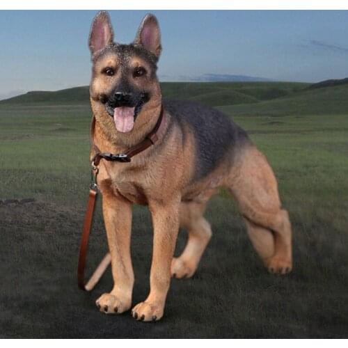 DID (AS003) 1/6 Working Dog Model German Shepherd dog Anime Statue for 12 inches Action Figure Accessories Collections