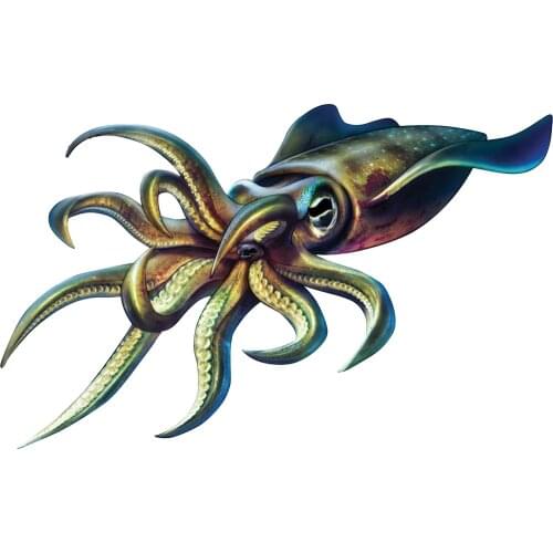 Hot Personality Funny Car Sticker Lifelike Squid Fishing Sunscreen Waterproof Creative Colored Decals Car Decoration PVC