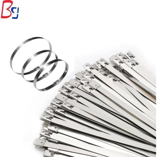 100pcs 304#Stainless Steel Cable Ties 4.6x100/150/200/300mm Stainless Steel Cable TiesMulti-Purpose Locking Cable Ties