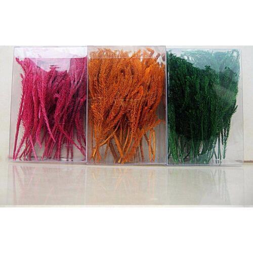 50g Diaphasiastrum Veitchii Dried Preserved Flower For Wedding Party Home Hotel Decoration DIY Bouquet Project Accessory