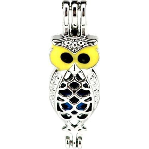 K998 5pcs/lot Silver Enamel Owl Animal Beads Cage Pendant Fairytale Party Essential Oil Diffuser