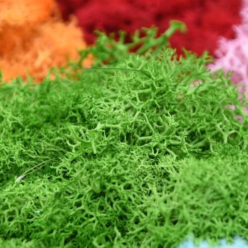 20g/40g Artificial Plant Eternal Life Moss / Garden Home Decor Wall DIY Flower Material Mini Garden Micro Landscape Accessories