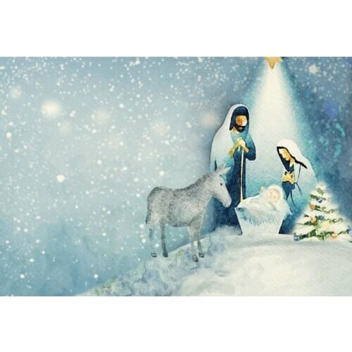 Nativity Backdrop Newborns Wedding Snowflakes Snowing Photography Xmas Family Holiday Party Decoration Photo Booth Studio Props