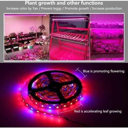 5M LED Plant Grow Light SMD 5050 hydroponic Systems Grow Led Bar Light Flowers and plant Waterproof DC 12V Led Grow Strip Light