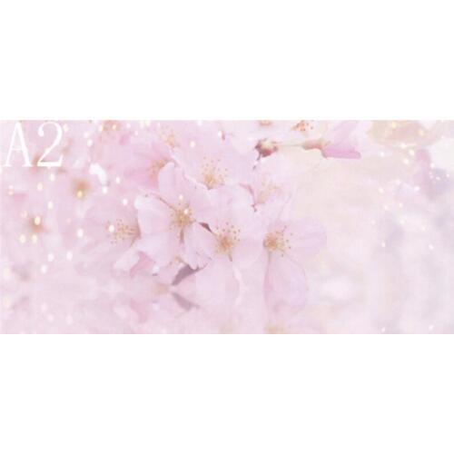 Pastel Pink Floral Bakcdrop Double Sided Grounge Flower Wall Newborn Photography Bakground Vintage Floor Wrinkle Free Fabric