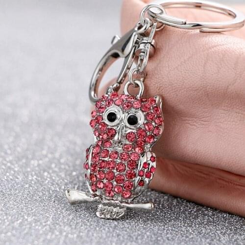 In 2018, NoEnName_Nulls new cute girl loved it, and friends used the cute little owl key ring to wrap the key ring for free de