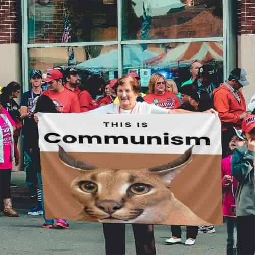 Floppa Cute 554 Flag Banner Home Outdoor Gift Party Lgbtq Decor Ussr Flag