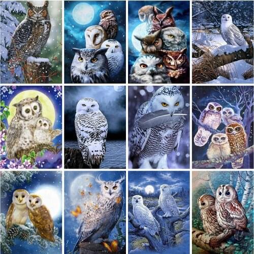 Huacan 5D DIY Diamond Painting Full Square Owl Diamond Embroidery Mosaic Animals Beaded Pictures Handicraft Decoration For Home