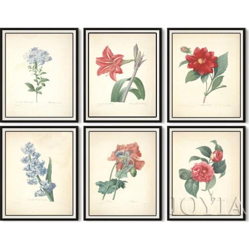 Antique Leaf Flower Canvas Posters Vintage Botanical Prints Home Office Studies Decor Wall Art Pictures Fruits Flowers Painting