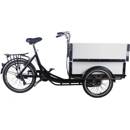 Electric Mobile Cargo Bike Trends Style White Color Motorized Tricycles for Adults Family Kids Children Scooter Customizable