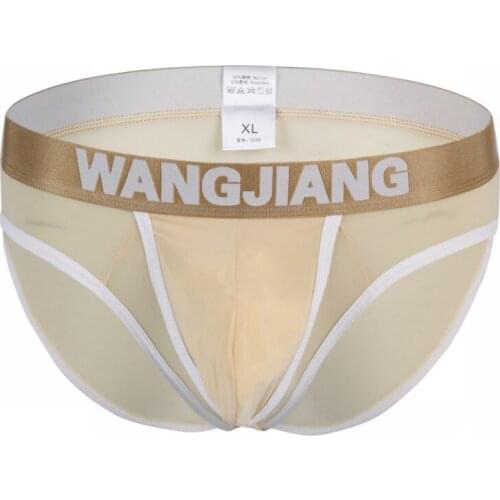 Brand Underwear Male Briefs Cool Mens Home Sleepwear Ice Silk Briefs Underwear Sexy Gay Man Cueca Underpants