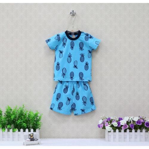 Boys Summer Pure Cotton Short Sleeve T Shirts+Shorts 2 Pieces Clothing Set Children Clothes 2019 Baby Clothes