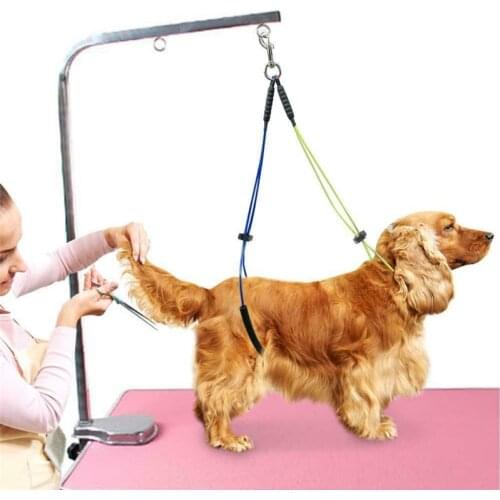 New Dog Cat Standing Training No-Sit Pet Haunch Holder Pet Grooming Restraint Loop Table Adjustable Pet Grooming Leash Loop