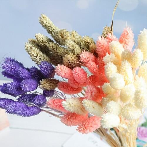 New 20Pcs Dried Natural Flower Bouquets Artificial Flower Colorful Lagurus Tail Grass Bouquets Bunches Ovatus Bouquets Rabbit