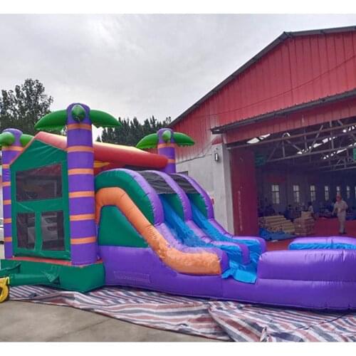 Inflatable Water Slide Children Water Park Equipment Inflatable Water Slide with Pool