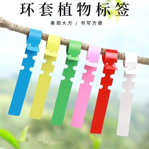 50/100 pcs Plant Tags Garden Nursery Label hanging tree Markers seedling plant fruit trees signs prompt card classification tool