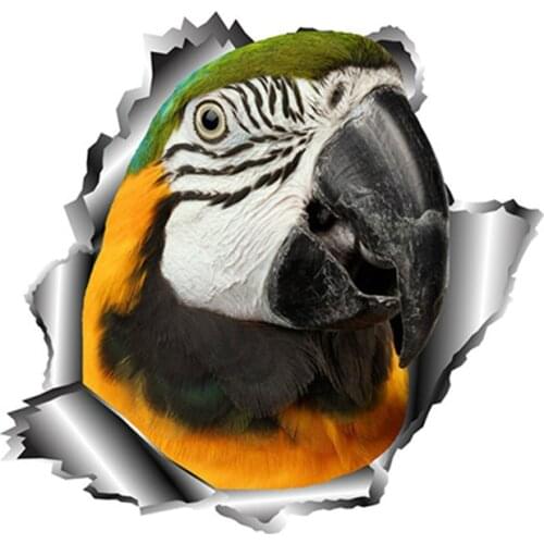Waterproof Car Stickers Parrot Bird Car Stickers Torn Metal Full Color Decals Car Window Bumper Decals Animal Stickers 13x12.5cm