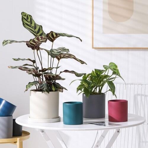 1pc European Pure Color Flower Pot With Hole Home Decoration Succulent Ceramic FlowerPot Plants Holder