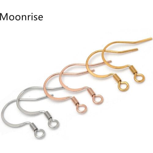 50Pcs/Lot Stainless Steel Earring Hooks Hypoallergenic Earring Jewelry Findings Earring Parts DIY Making