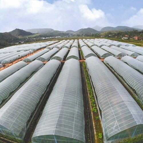 10M Wide Outdoor Garden Greenhouse Film 0.08mm Thickness Plastic Covers Film Fruit Vegetable Planting Films