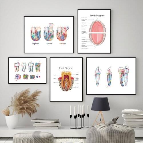 Watercolor Teeth Medical Anatomy Poster Dentist Gift Clinic Wall Decor , Dental Anatomy Art Picture Canvas Painting Decoration