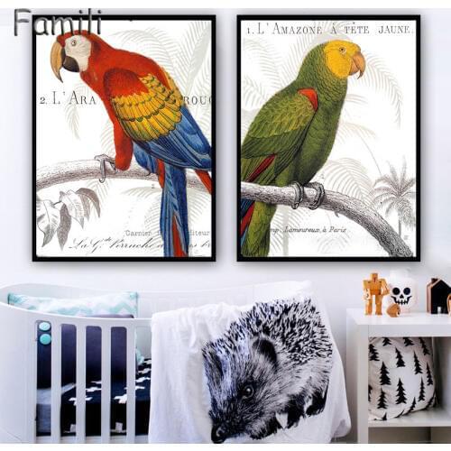 Modern Parrot Family Canvas Painting For Kids Room Wall Picture Watercolor Canvas Art Print Poster Home Decor No Framed