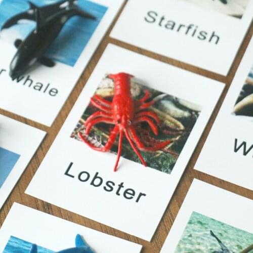 Montessori Language Cards Objects Set Marine Animals Preschool Word Study Educational Toys For Children Juguete Montessori MB214