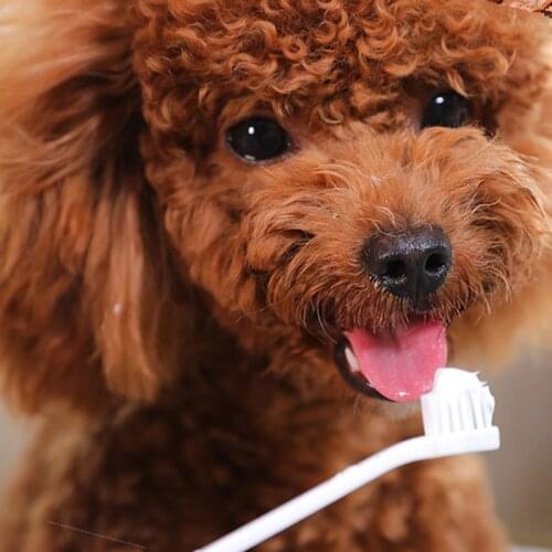 Super Soft Finger Toothbrush Pet Toothbrush Dog Brush Addition Bad Breath Tartar Teeth Care Puppy Cat Rabbit Cleaning Mouth
