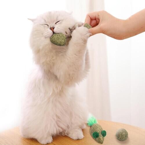 Pure Natural Catnip Toy Ball/Fish/Mouse Safe Edible Catnip Molar Toy Soothing Cat Hair Catmint Toy Ball Tooth Cleaning