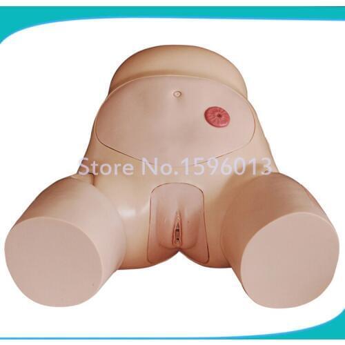 Economic Female Urethral Catheterization Simulator, Catheterization Manikin