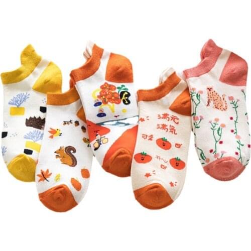 5 Pairs/lot Cute Cartoon Spring Women Socks Set Funny Cotton Low Cut Ankle Short Happy Sox