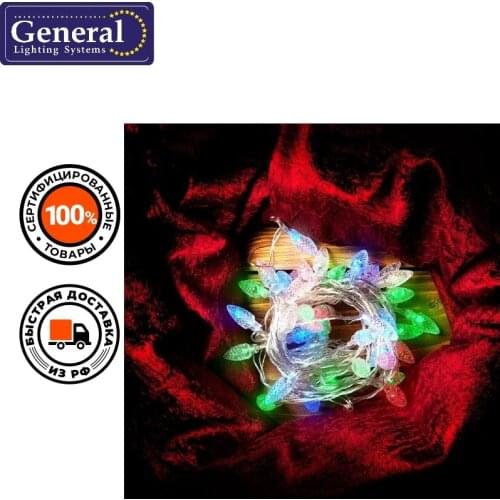 General Lighting Systems Festive Lighting