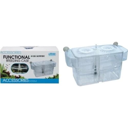 Ista Double Compartments Fish Puppies Big size Air Inlet 22 Cm 410548402