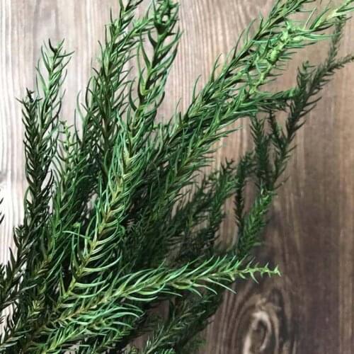 15-42CM/60g Real Dried Natural Preserved Pine Tree,Decorative Eternal Pine Branches DIY For Christmas Decoration,Home Decor