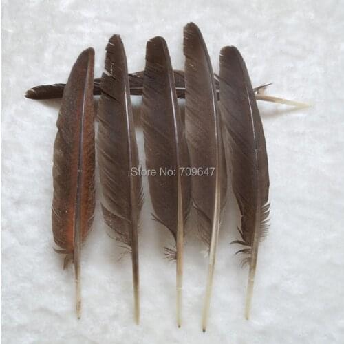 30pcs/lot!28-35cm long Nature Grey Peacock Flight Quill Feathers - Cruelty Free - Humane,Peacock Feathers