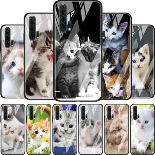Tempered Glass Cover Cute kawaii kitten Cat For Honor 30 20 10 9X 8X Lite Pro Plus Silicone Phone Case Coque Shell