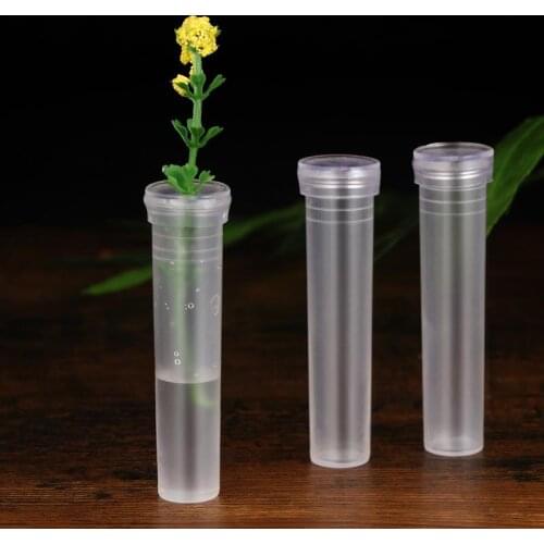 50pcs Nutrition Flower Plastic Tube Transparent Water Flower Tube Cap Flower Water Container Florist Supplies 7.2x1.8cm