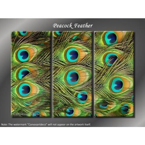 HotHuge 3 Panel Modern Beauty "Peacock Feather"