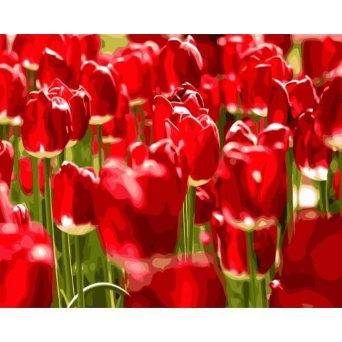 MaHuaf-i149 Frameless flowers wall art Picture Painting By Numbers on canvas digital gift paint by numbers Tulipa gesneriana