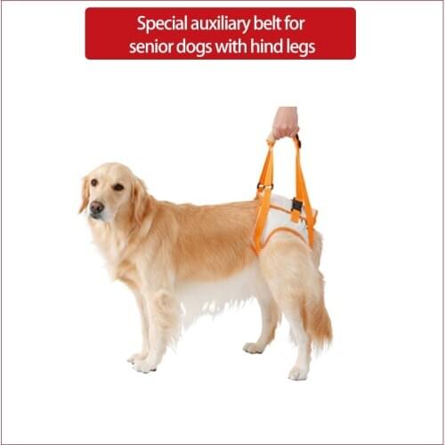 Petio Dog Accessories