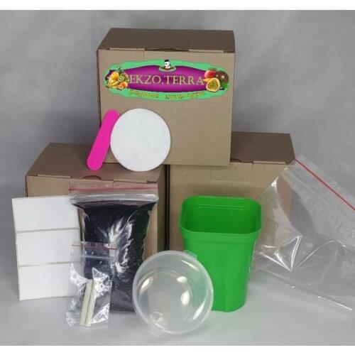 Цветочные горшки EKZO.TERRA China At AliExpress