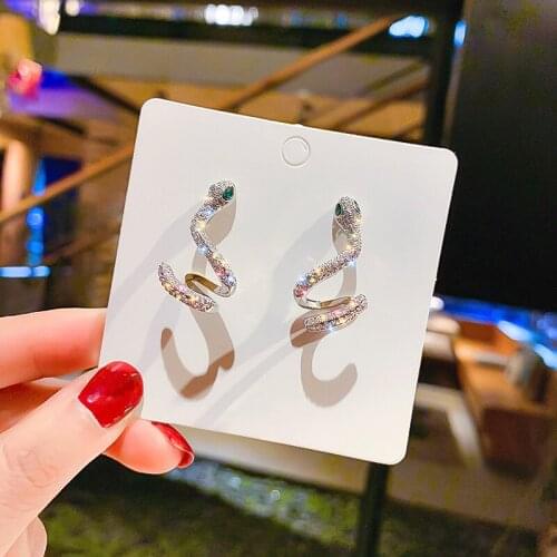 Silvery Needle Micro-inlaid Zircon Earrings Exaggerated Snake-shaped Stud Earrings U-shaped Punk Trendy Women Earrings