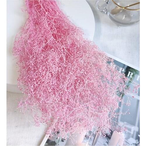 50g Preserved Flower Home Decor Centerpiece Essentials Pink Nepheline Grass Artificial Dried Plant Party Wedding Supplies Craft