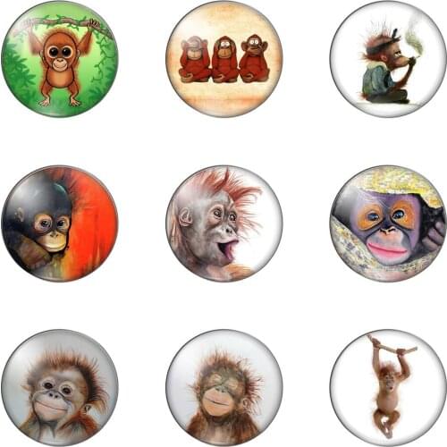 Cute Monkey Nifty and Lively Happy Round Photo Glass Cabochon Demo Flat Back Making Findings Handmade DIY Accessories