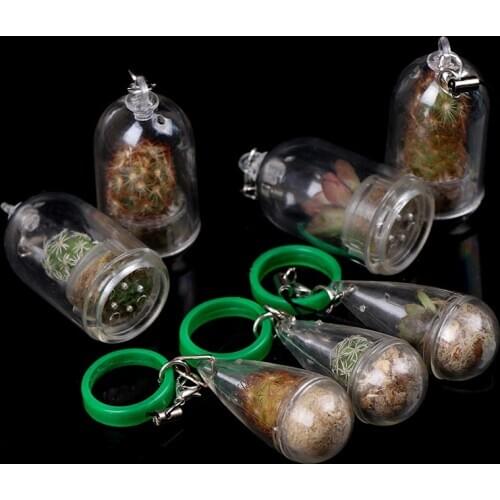 NEW Miniature Succulent Cactus Terrarium Wearable Necklace Live DIY Succulent Plant Pendant Random Style Home Decoration