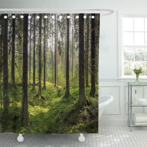 Green Forrest Dark Forest Karelia Trees Scene Nature Wilderness Shower Curtain Waterproof 72 x 72 Inches Set with Hooks